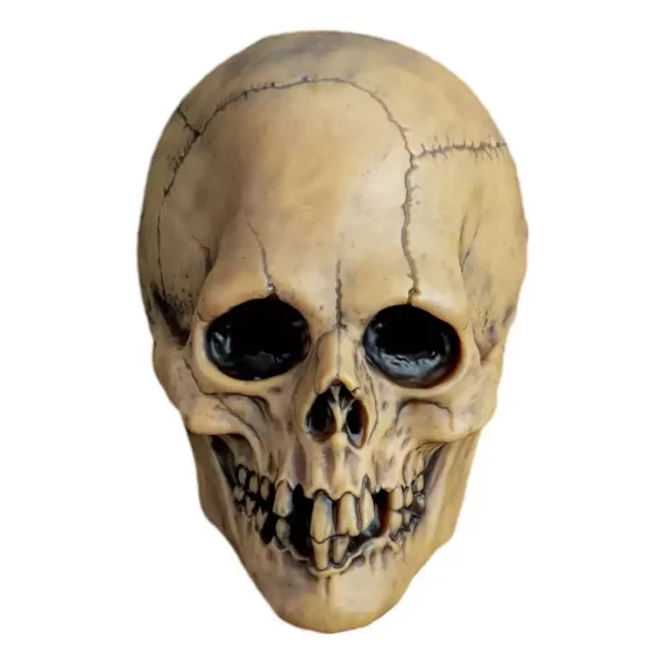 don-post-vinyl-mask-aged-voodoo-skull-1765726721-0 don-post-vinyl-mask-aged-voodoo-skull-1765726721-0