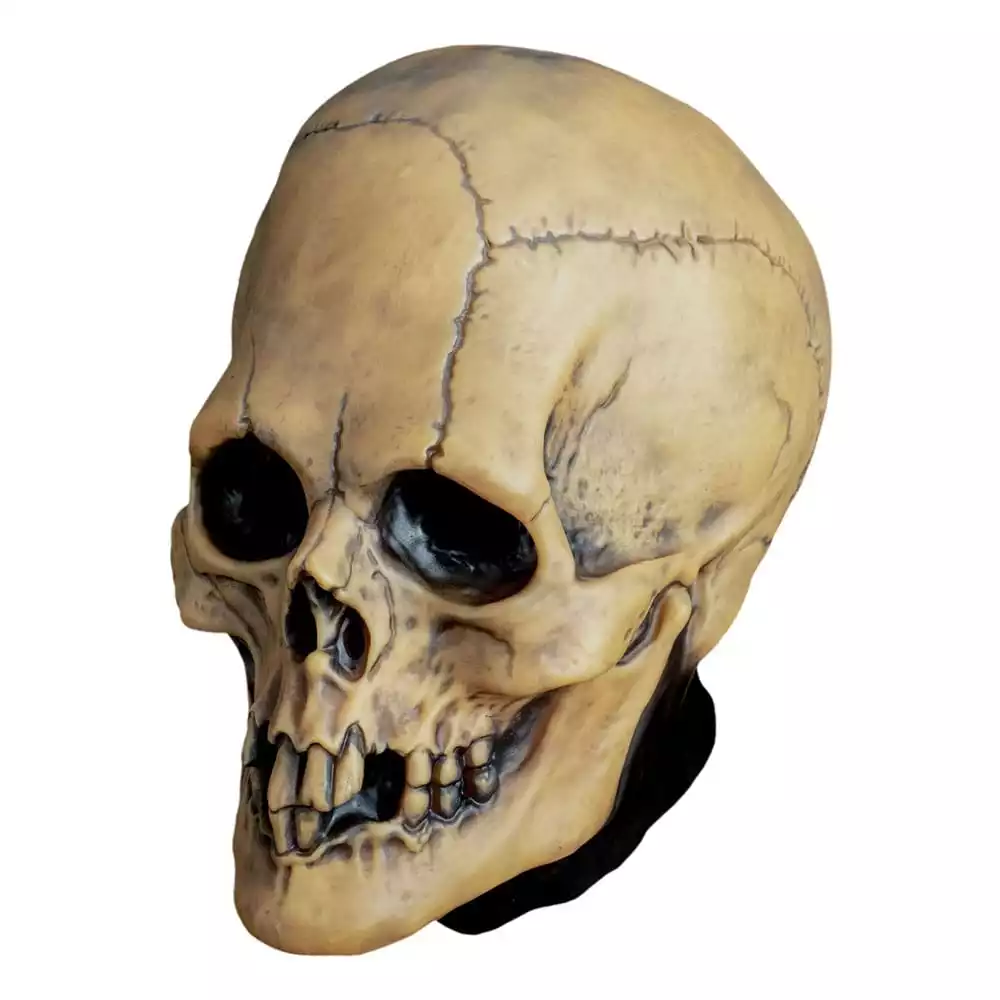 don-post-vinyl-mask-aged-voodoo-skull-1765726721-1