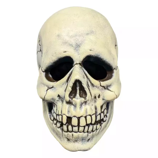 don-post-vinyl-mask-antique-skull-1765726705-0