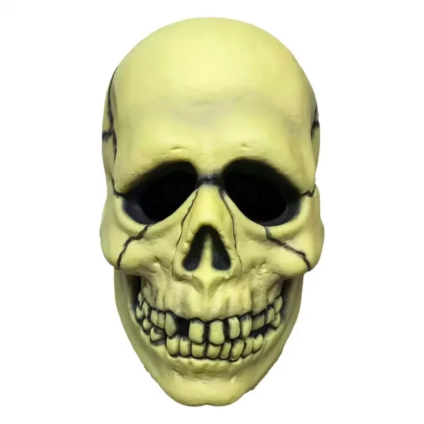 don-post-vinyl-mask-ghost-skull-1765726703-0