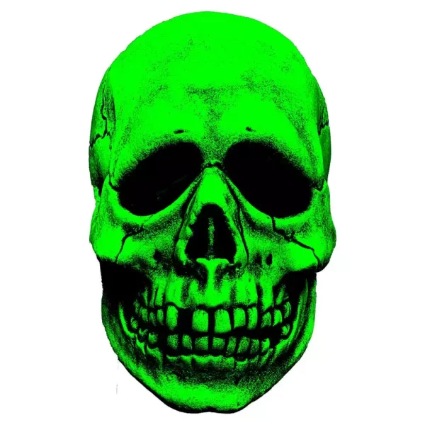 don-post-vinyl-mask-glowin-ghoulies-skull-1765726691-1 don-post-vinyl-mask-glowin-ghoulies-skull-1765726691-1