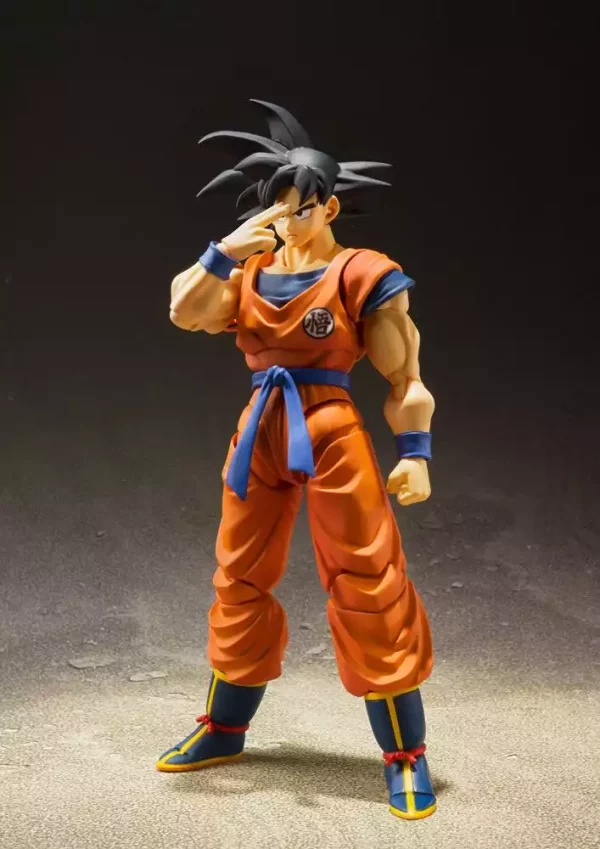 dragon-ball-z-s-h-figuarts-action-figure-son-goku-a-saiyan-raised-on-earth-14-cm-1765673051-5 dragon-ball-z-s-h-figuarts-action-figure-son-goku-a-saiyan-raised-on-earth-14-cm-1765673051-5