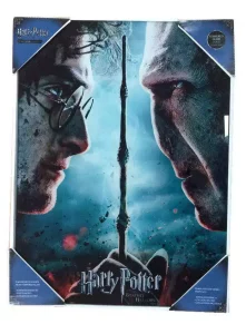 Poster in Vetro Harry Potter: Harry & Voldemort 30 x 40 cm