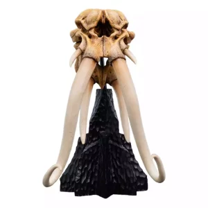 Mini Statua Teschio di Mumak - Il Signore degli Anelli, 15 cm