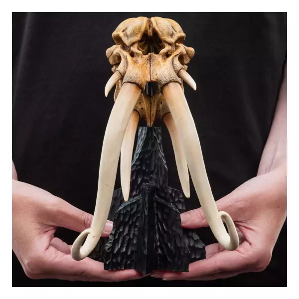 lord-of-the-rings-mini-statue-skull-of-a-mumak-15-cm-1764953086-3 lord-of-the-rings-mini-statue-skull-of-a-mumak-15-cm-1764953086-3
