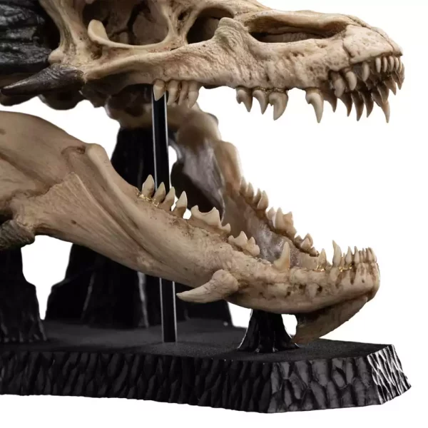 lord-of-the-rings-mini-statue-skull-of-smaug-22-cm-1764952888-6 lord-of-the-rings-mini-statue-skull-of-smaug-22-cm-1764952888-6