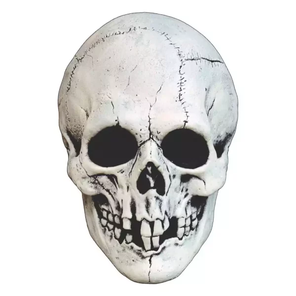 mabry-monsters-mask-night-owl-skull-white-1765726659-0 mabry-monsters-mask-night-owl-skull-white-1765726659-0