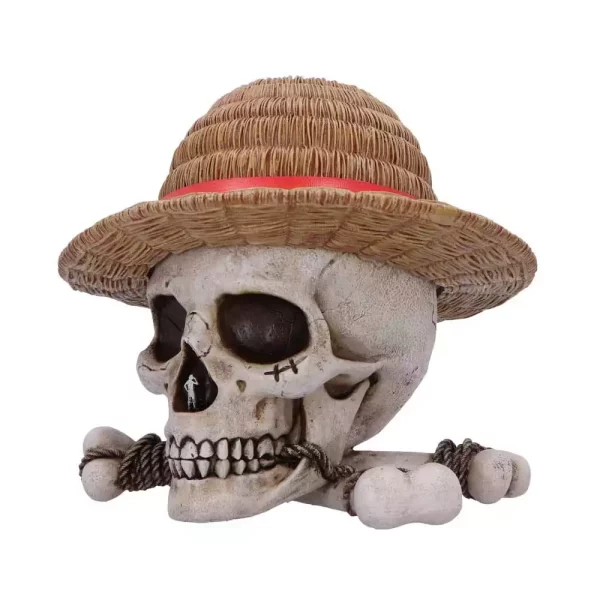 one-piece-storage-box-luffy-jolly-roger-1765714537-1 one-piece-storage-box-luffy-jolly-roger-1765714537-1