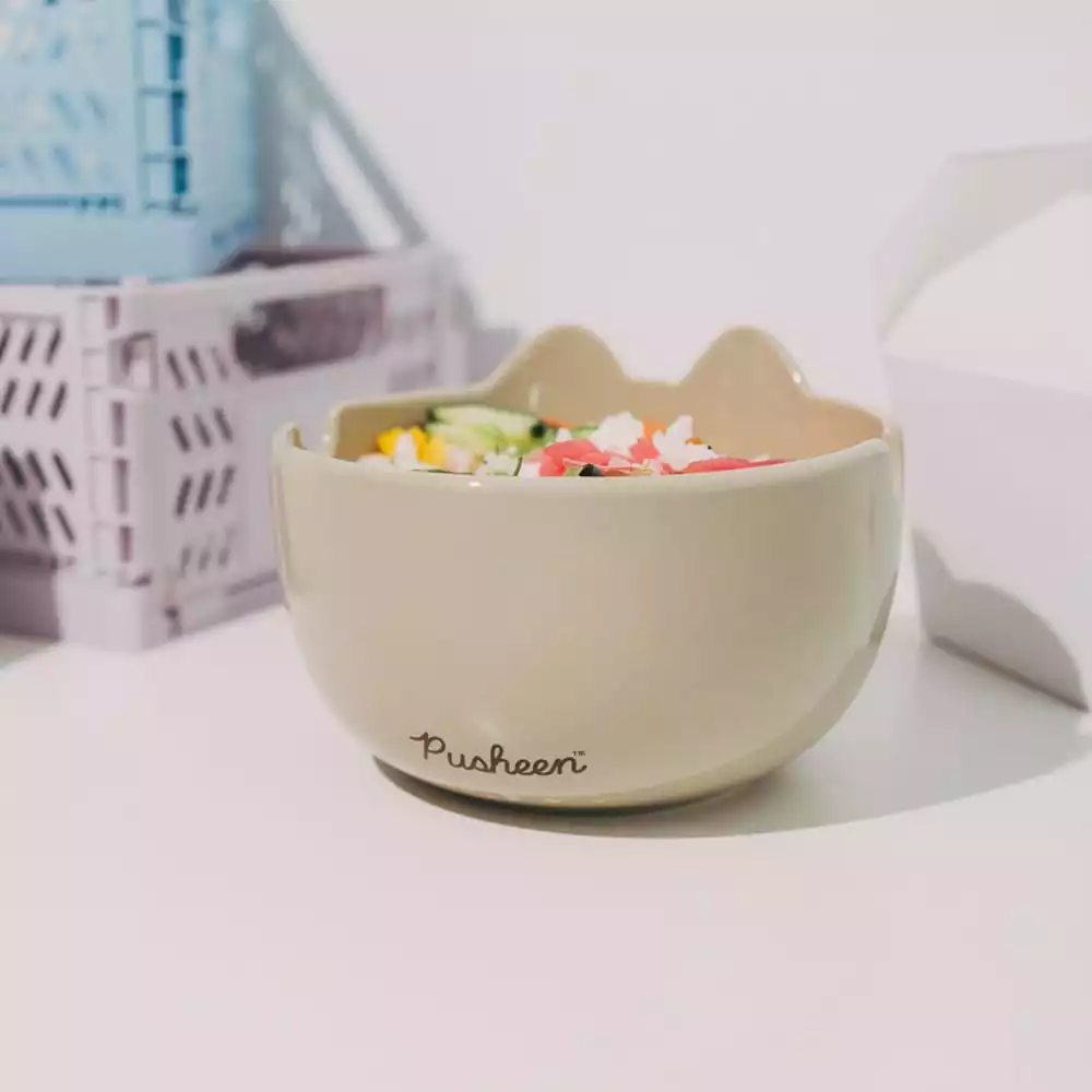 pusheen-ramen-bowl-1765679396-4