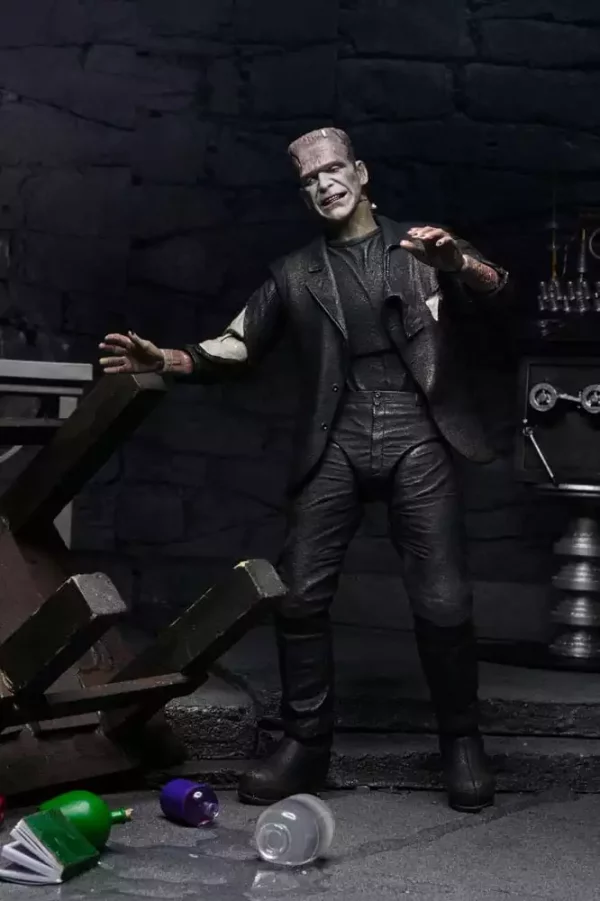 universal-monsters-action-figures-2-pack-bride-of-frankenstein-90th-anniversary-the-monster-his-mate-18-cm-1765713783-3 universal-monsters-action-figures-2-pack-bride-of-frankenstein-90th-anniversary-the-monster-his-mate-18-cm-1765713783-3