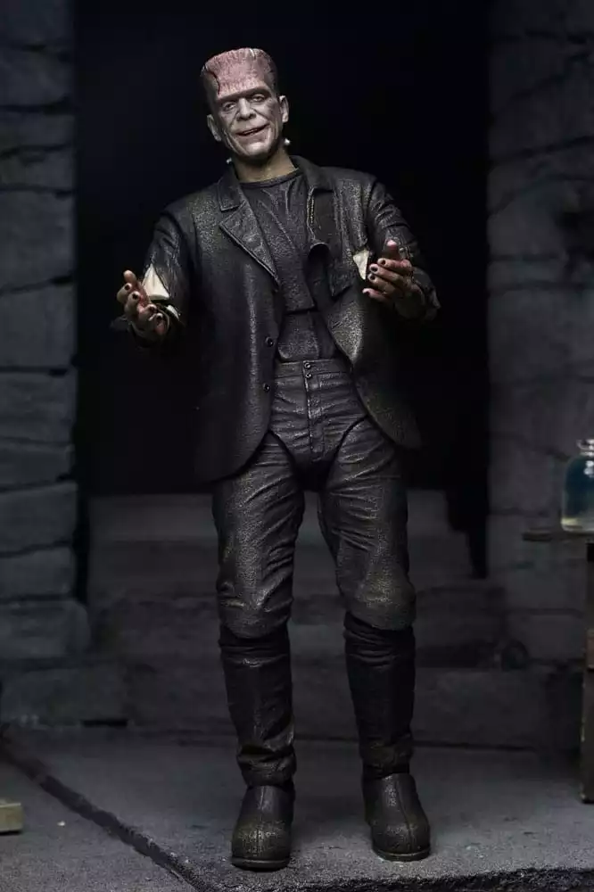 universal-monsters-action-figures-2-pack-bride-of-frankenstein-90th-anniversary-the-monster-his-mate-18-cm-1765713786-6