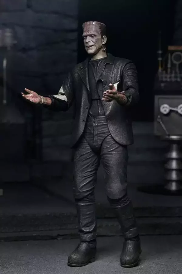 universal-monsters-action-figures-2-pack-bride-of-frankenstein-90th-anniversary-the-monster-his-mate-18-cm-1765713789-10 universal-monsters-action-figures-2-pack-bride-of-frankenstein-90th-anniversary-the-monster-his-mate-18-cm-1765713789-10