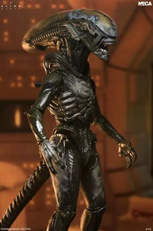 alien-earth-ultimate-action-figure-wendys-xenomorph-18-cm-1785265071-2