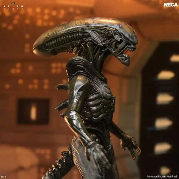 alien-earth-ultimate-action-figure-wendys-xenomorph-18-cm-1785265072-3