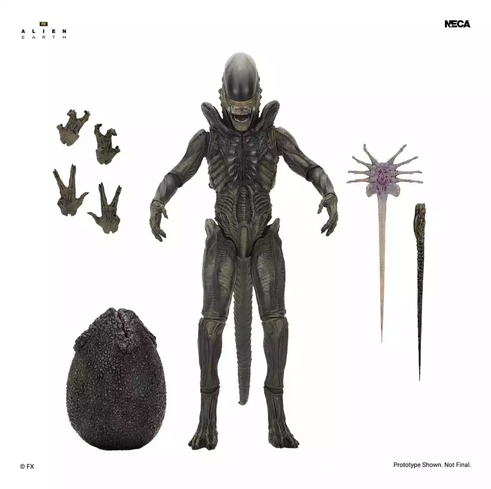 alien-earth-ultimate-action-figure-xenomorph-18-cm-1785265063-1