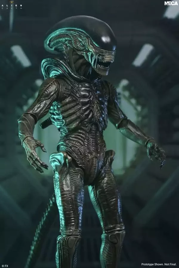 alien-earth-ultimate-action-figure-xenomorph-18-cm-1785265064-2 alien-earth-ultimate-action-figure-xenomorph-18-cm-1785265064-2