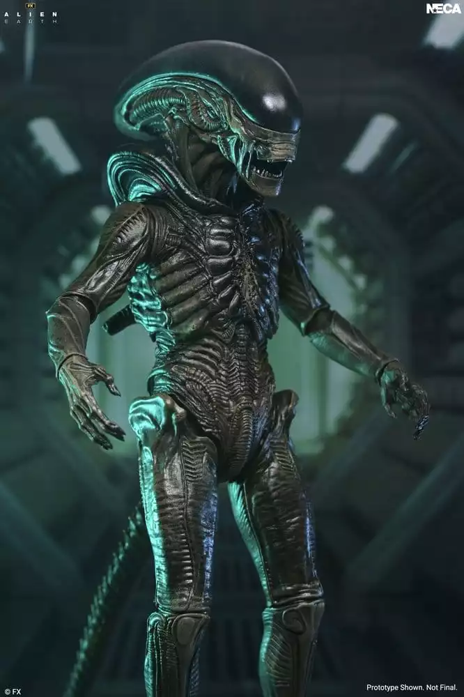 alien-earth-ultimate-action-figure-xenomorph-18-cm-1785265064-2