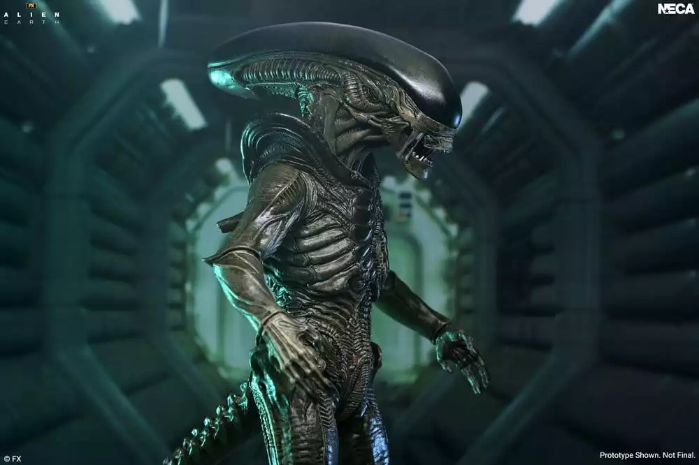 alien-earth-ultimate-action-figure-xenomorph-18-cm-1785265064-3