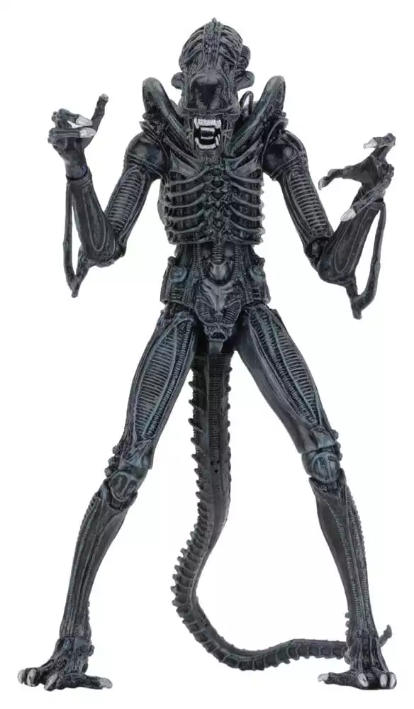 aliens-ultimate-action-figure-warrior-1986-blue-23-cm-1784878259-0 aliens-ultimate-action-figure-warrior-1986-blue-23-cm-1784878259-0