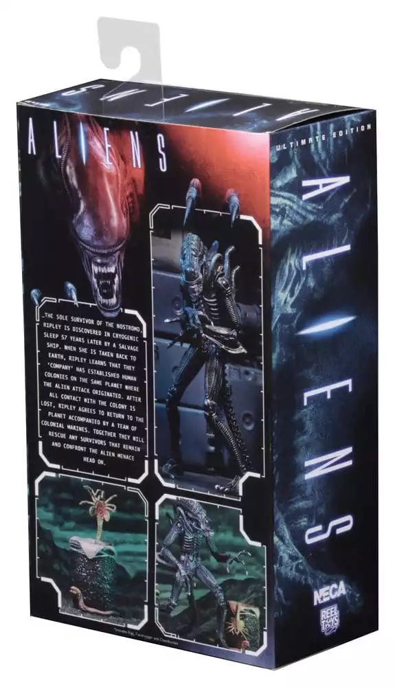 aliens-ultimate-action-figure-warrior-1986-blue-23-cm-1784878261-2 aliens-ultimate-action-figure-warrior-1986-blue-23-cm-1784878261-2
