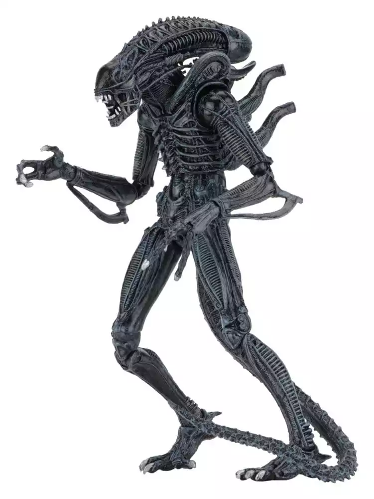 aliens-ultimate-action-figure-warrior-1986-blue-23-cm-1784878263-4