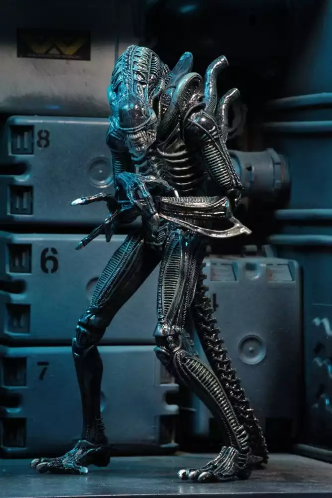 aliens-ultimate-action-figure-warrior-1986-blue-23-cm-1784878267-8