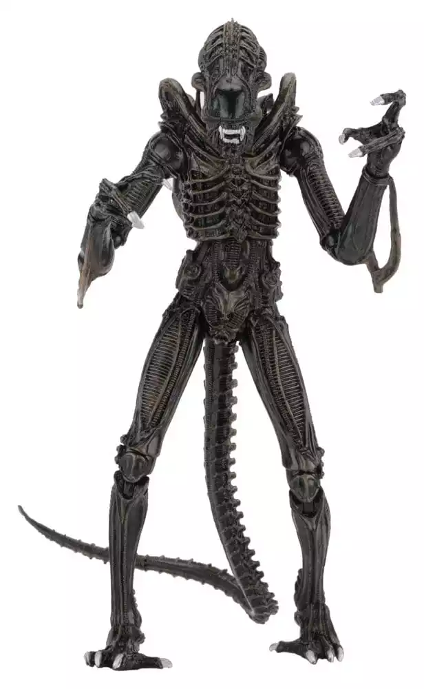 aliens-ultimate-action-figure-warrior-1986-brown-23-cm-1784878268-0