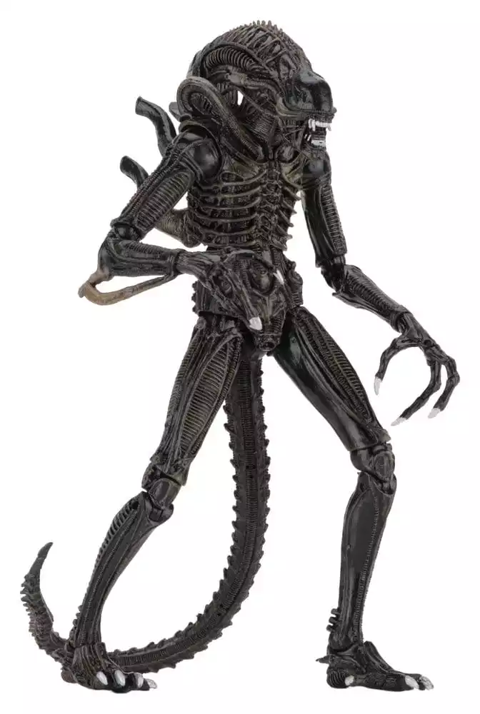 aliens-ultimate-action-figure-warrior-1986-brown-23-cm-1784878270-2