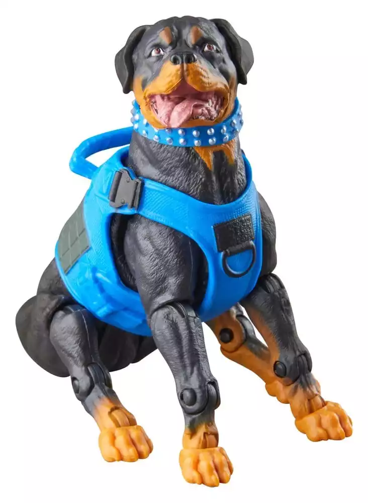 g-i-joe-classified-series-action-figure-3-pack-220-mad-marauders-footloose-mutt-junkyard-15-cm-1785264913-7