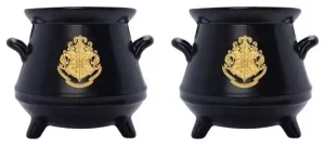 Salarino e Pepaiolo Harry Potter Pentola Magica 3D