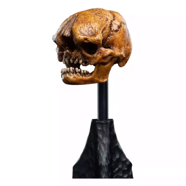 lord-of-the-rings-mini-statue-skull-of-a-misty-mountain-goblin-14-cm-1784893811-2