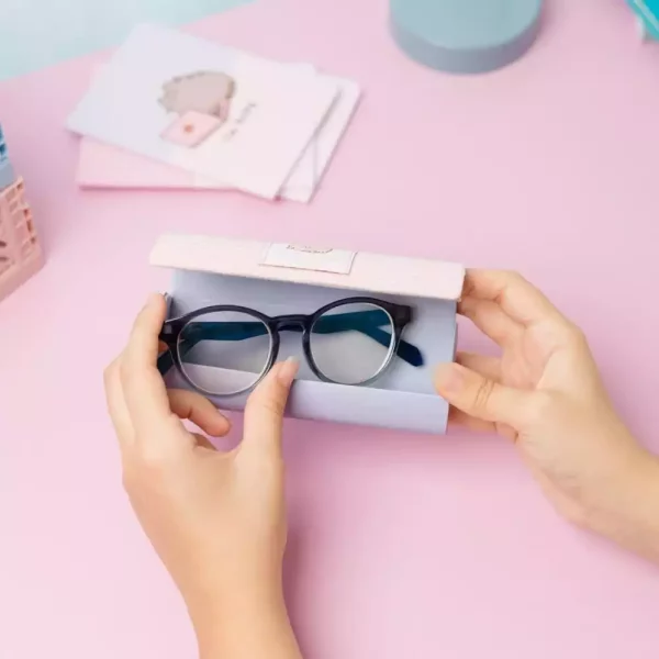 pusheen-glasses-case-1784857249-2