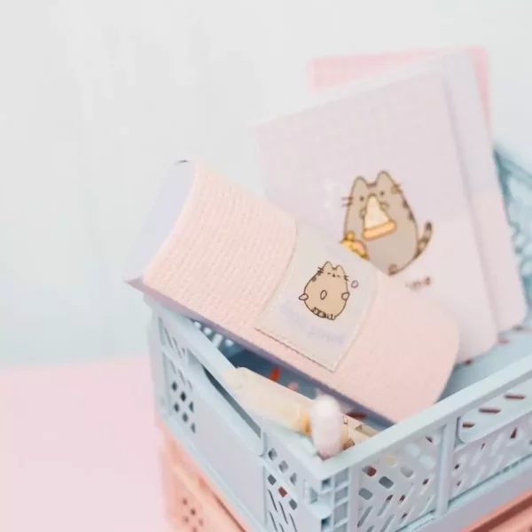 pusheen-glasses-case-1784857253-6