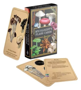 Renegade Originals: Mazzo di Carte Flashcard 'Mycologist’s Primer' (Edizione Italiana)