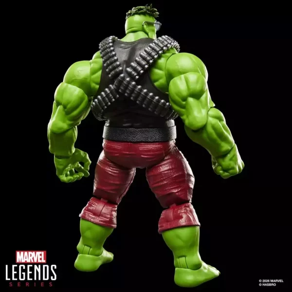the-incredible-hulk-marvel-legends-action-figure-professor-hulk-15-cm-1784862405-11