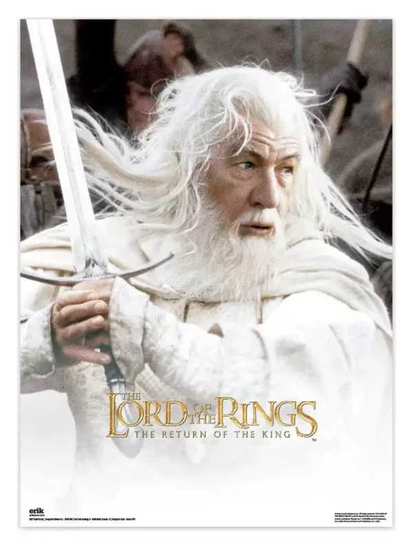the-lord-of-the-rings-poster-38-x-52-cm-set-of-2-1784857302-2