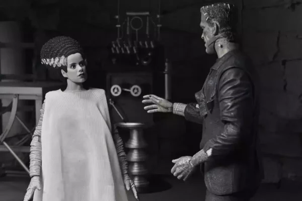 universal-monsters-2-pack-action-figure-bride-of-frankenstein-90th-anniversary-the-monster-his-mate-bw-18-cm-1784878052-5 universal-monsters-2-pack-action-figure-bride-of-frankenstein-90th-anniversary-the-monster-his-mate-bw-18-cm-1784878052-5