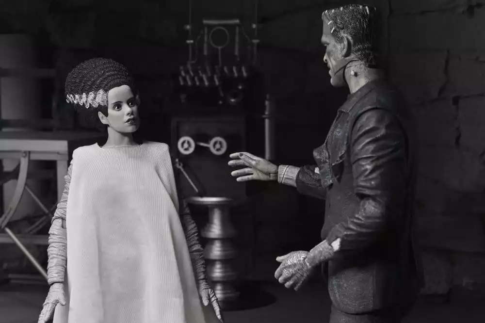 universal-monsters-2-pack-action-figure-bride-of-frankenstein-90th-anniversary-the-monster-his-mate-bw-18-cm-1784878052-5