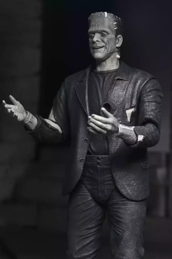 universal-monsters-2-pack-action-figure-bride-of-frankenstein-90th-anniversary-the-monster-his-mate-bw-18-cm-1784878055-7 universal-monsters-2-pack-action-figure-bride-of-frankenstein-90th-anniversary-the-monster-his-mate-bw-18-cm-1784878055-7