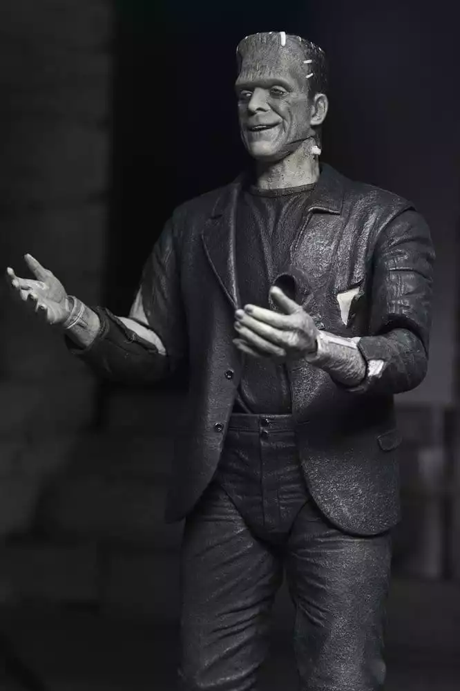 universal-monsters-2-pack-action-figure-bride-of-frankenstein-90th-anniversary-the-monster-his-mate-bw-18-cm-1784878055-7