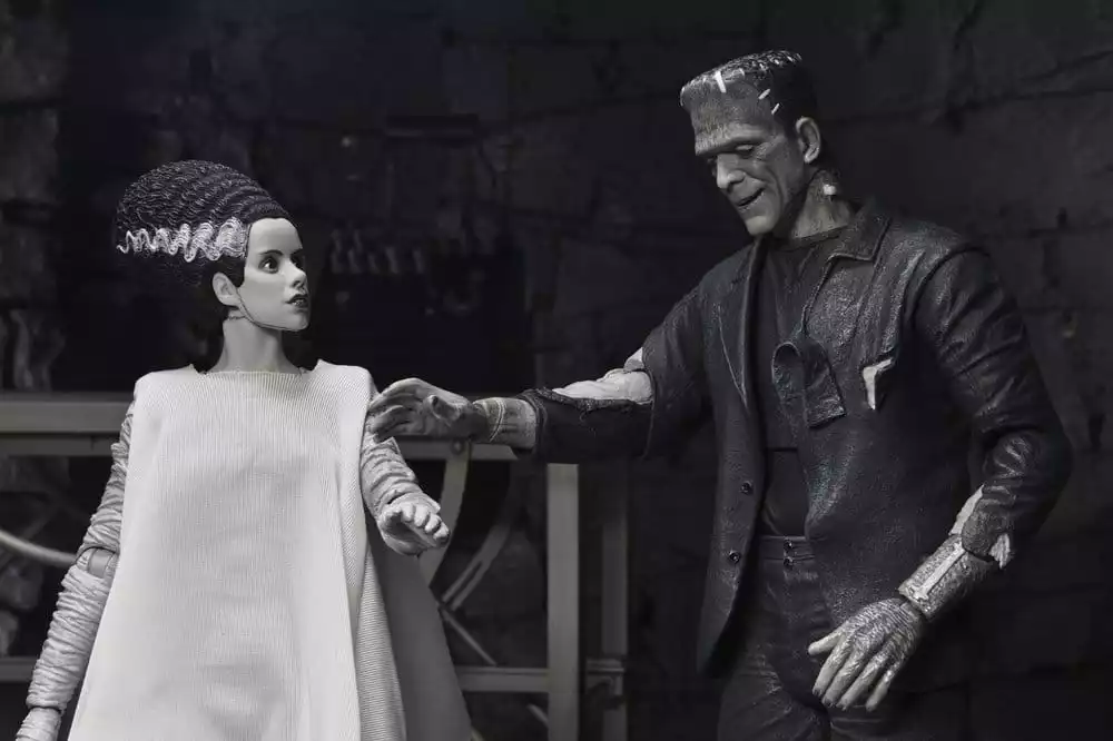 universal-monsters-2-pack-action-figure-bride-of-frankenstein-90th-anniversary-the-monster-his-mate-bw-18-cm-1784878058-10