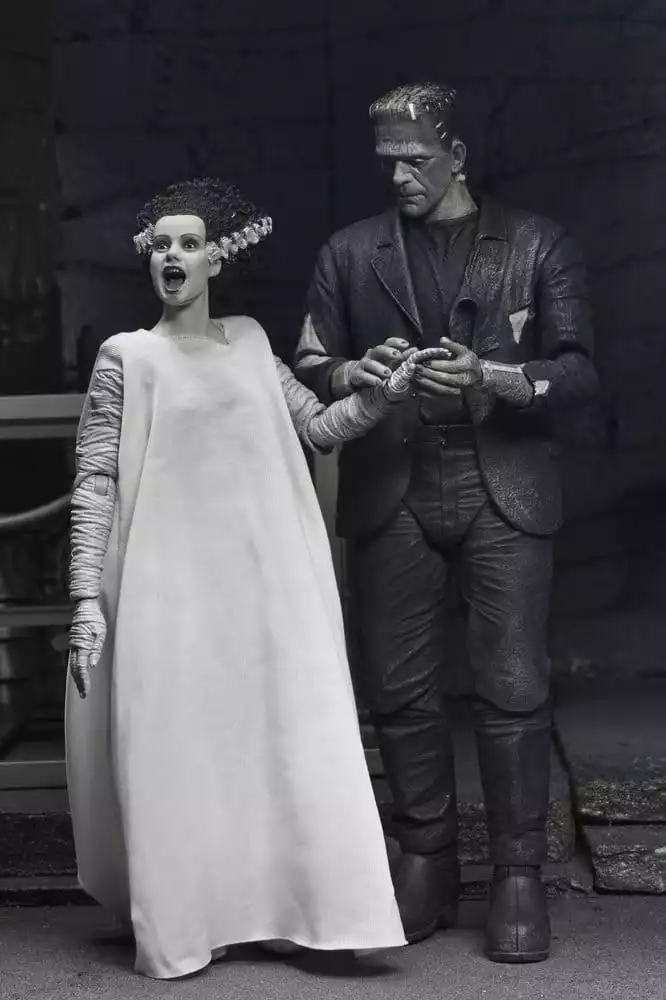 universal-monsters-2-pack-action-figure-bride-of-frankenstein-90th-anniversary-the-monster-his-mate-bw-18-cm-1784878059-11