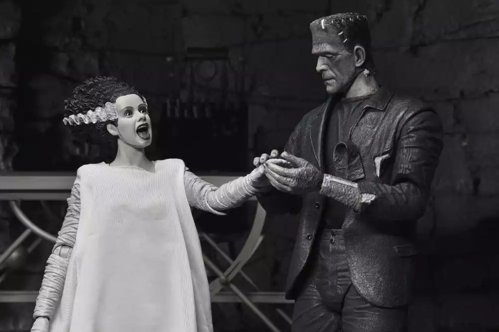 universal-monsters-2-pack-action-figure-bride-of-frankenstein-90th-anniversary-the-monster-his-mate-bw-18-cm-1784878060-12