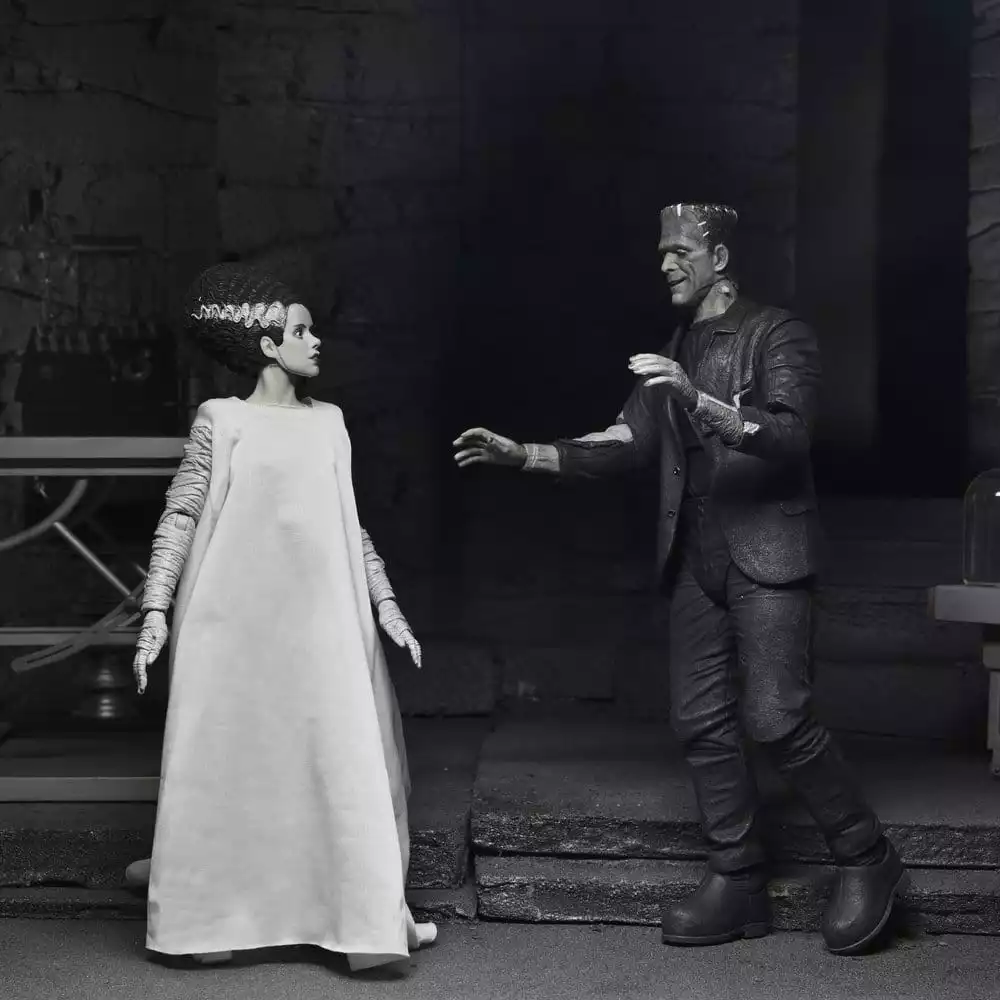 universal-monsters-2-pack-action-figure-bride-of-frankenstein-90th-anniversary-the-monster-his-mate-bw-18-cm-1784878062-14