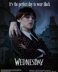 Wednesday: Poster Lenticolare 3D 'Il Giorno Perfetto' 26 x 20 cm