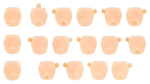Megami Device M.S.G. Kit Modello in Plastica Set Volti 1/1 Puni?Mofu 01 Colore Pelle