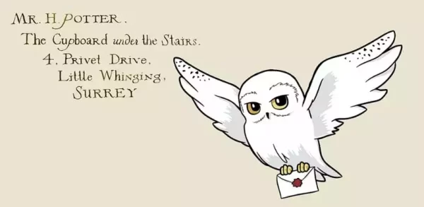 harry-potter-premium-mug-hedwig-444-ml-1789989339-1