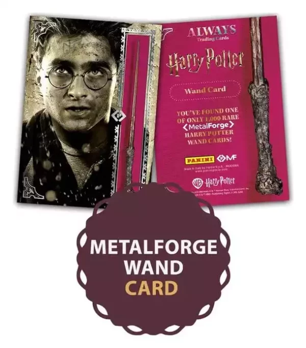 harry-potter-premium-treasure-box-1790161894-1