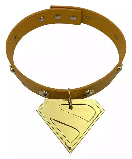 superman-prop-replica-1-1-krypto-collar-29-cm-limited-edition-1788788273-1 superman-prop-replica-1-1-krypto-collar-29-cm-limited-edition-1788788273-1