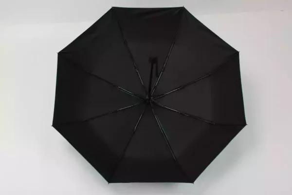the-apothecary-diaries-umbrella-1789622865-5